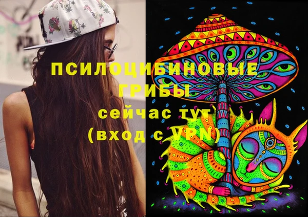 ECSTASY Ладушкин