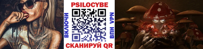 Галлюциногенные грибы Psilocybe купить наркоту blacksprut ссылки Тотьма